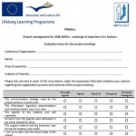 Project meetings evaluation form